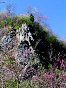 Heller Caves Biological Diversity Area