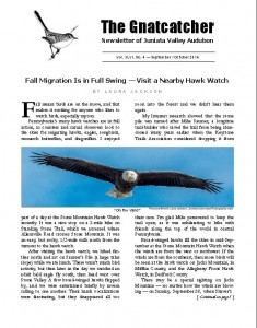 front page of Gnatcatcher