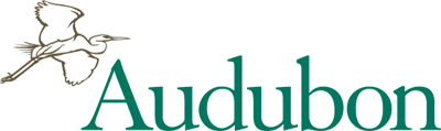 Natioanl Audubon Society logo