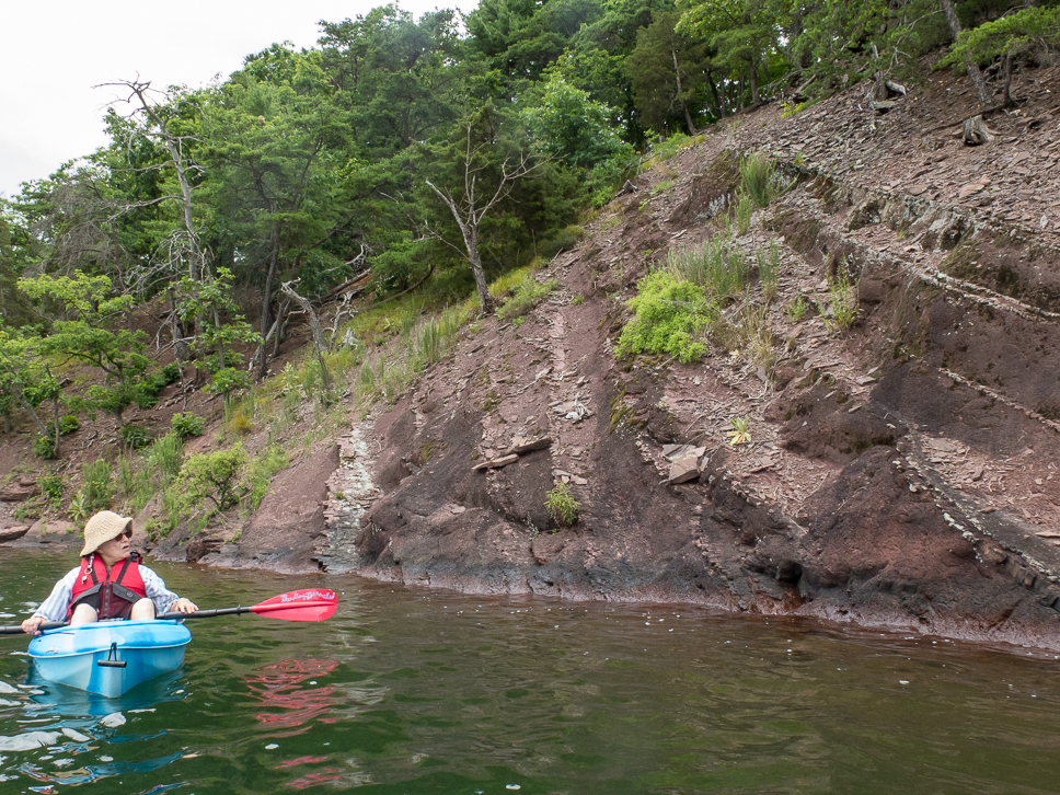JVAS member Alice Fleischer takes a look at the rocky outcropping of Hawn’s Bridge Peninsula.
