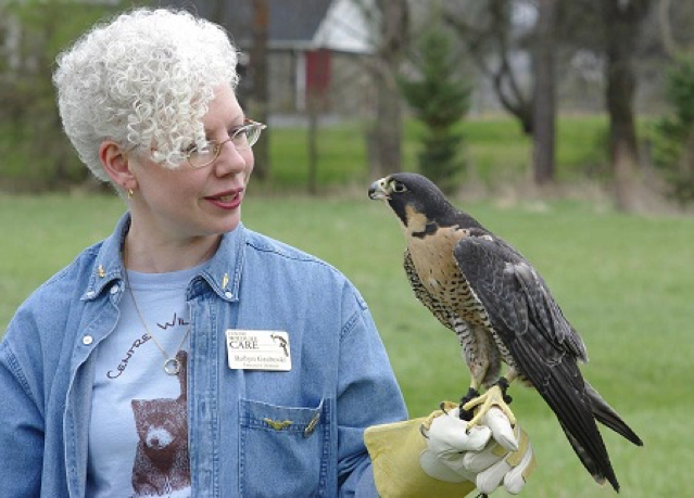 Centre Wildlife Care