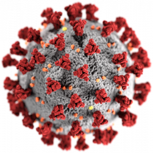 A CDC computer rendering of the surface of SARS-CoV-2