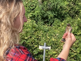 Six Decades of Birds: What can bird banding tell us about the changing world?