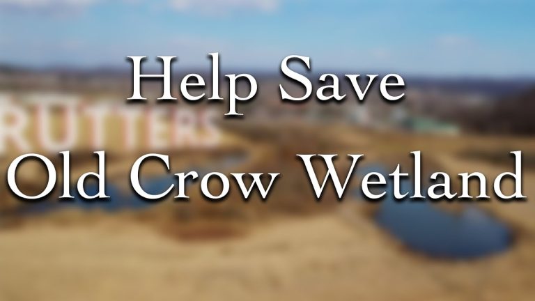 Coalition to Save Old Crow Wetland: December 2023 Update